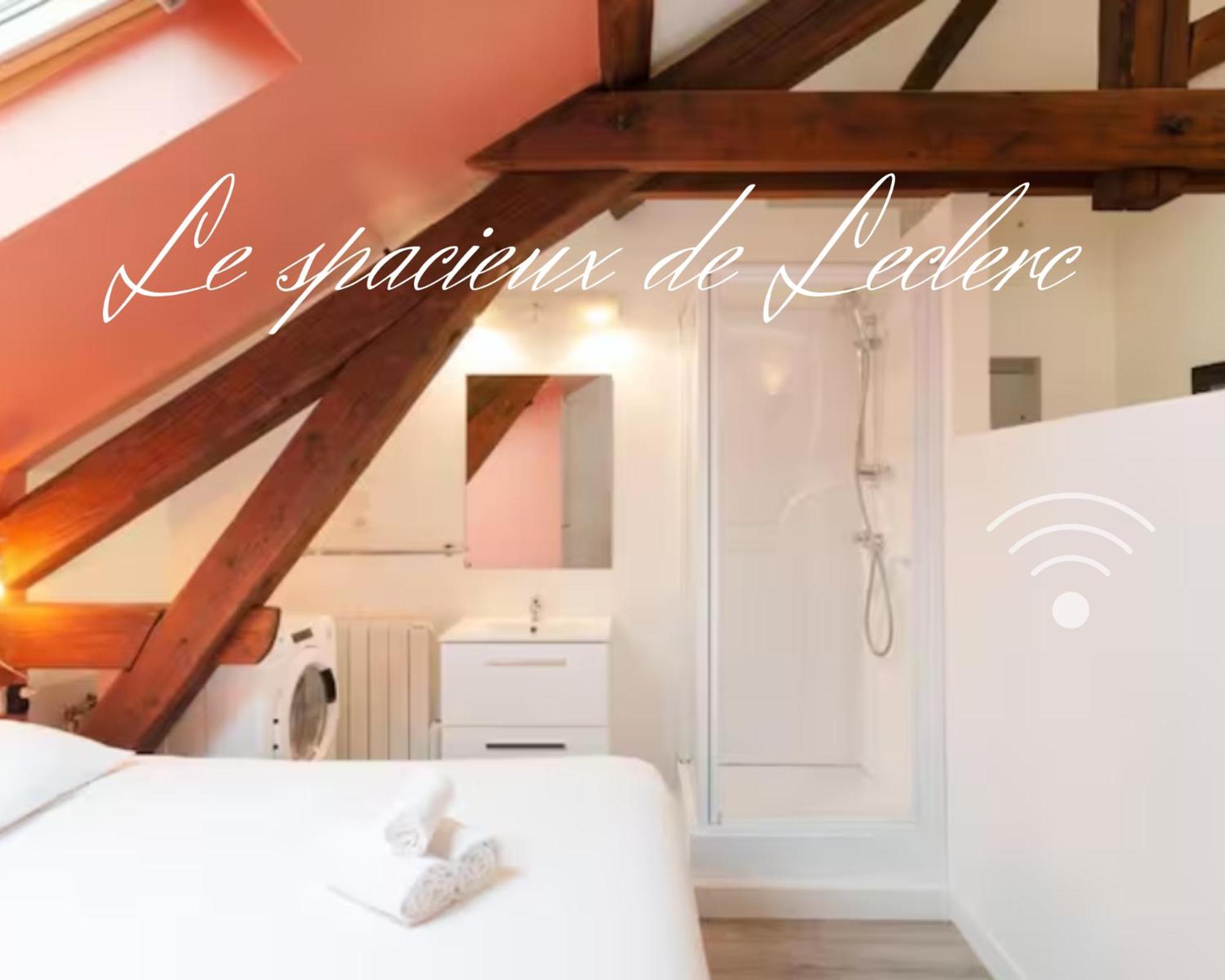 Residence Leclerc - Appartements D'Hotes - Secteur Thermal 南锡 客房 照片